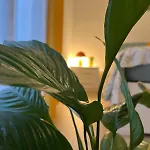 Apartamento Fantasticasa